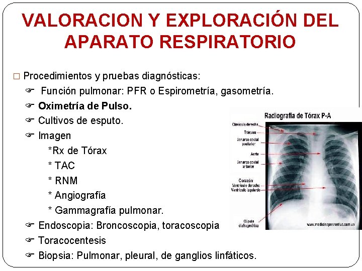 VALORACION Y EXPLORACIÓN DEL APARATO RESPIRATORIO � Procedimientos y pruebas diagnósticas: Función pulmonar: PFR