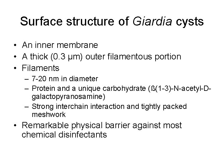 Surface structure of Giardia cysts • An inner membrane • A thick (0. 3
