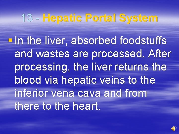 13 - Hepatic Portal System § In the liver, absorbed foodstuffs and wastes are