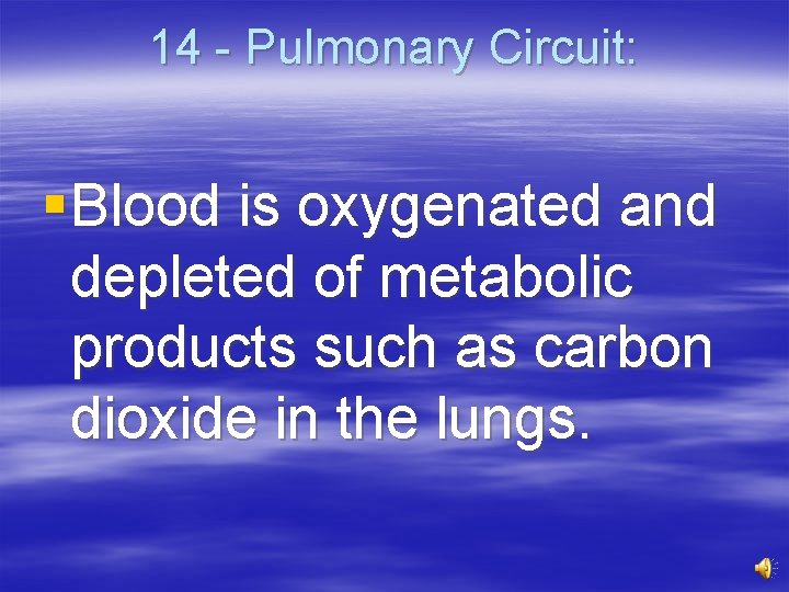 14 - Pulmonary Circuit: § Blood is oxygenated and depleted of metabolic products such