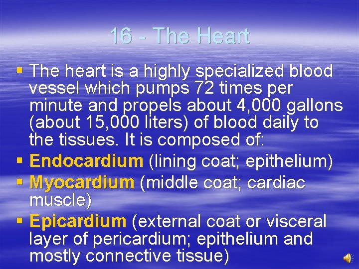 16 - The Heart § The heart is a highly specialized blood vessel which