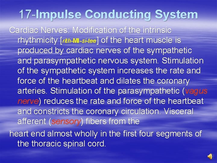 17 -Impulse Conducting System Cardiac Nerves: Modification of the intrinsic rhythmicity [rith-MI-si-tee] of the