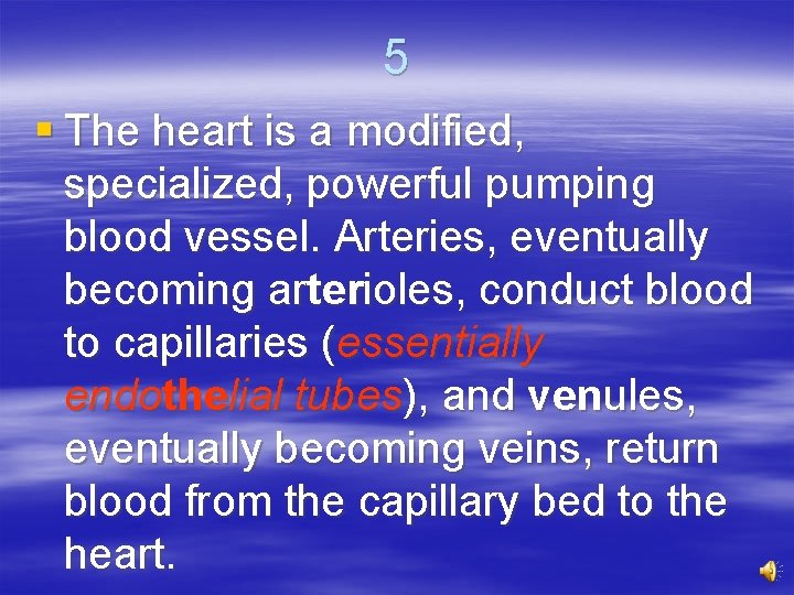 5 § The heart is a modified, specialized, powerful pumping blood vessel. Arteries, eventually