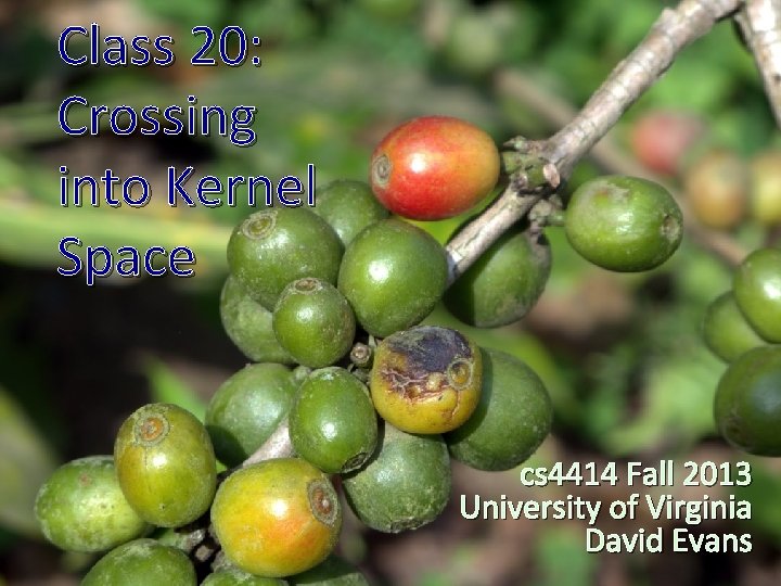 Class 20: Crossing into Kernel Space cs 4414 Fall 2013 University of Virginia David