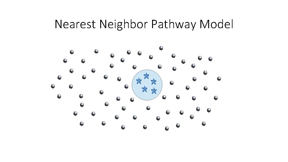 Nearest Neighbor Pathway Model 