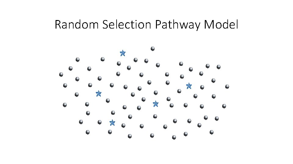 Random Selection Pathway Model 