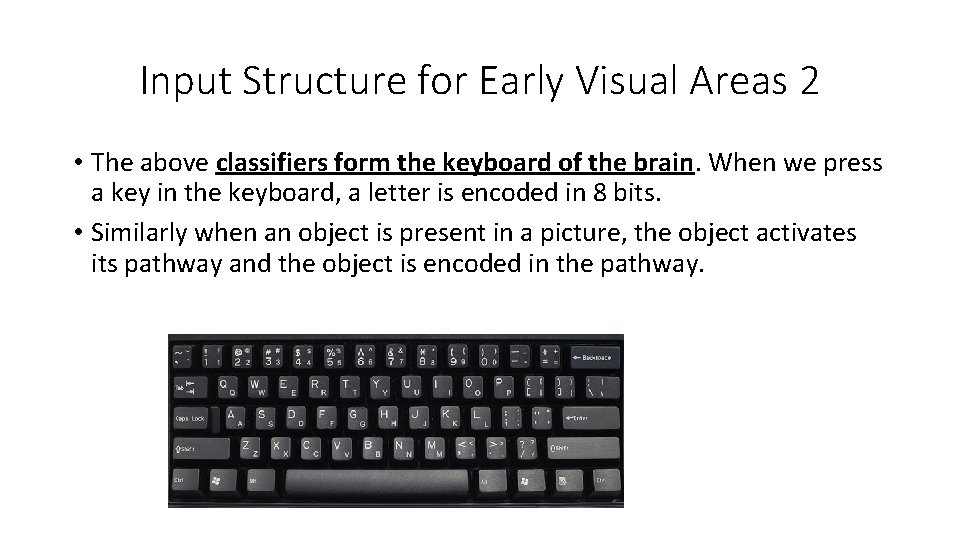 Input Structure for Early Visual Areas 2 • The above classifiers form the keyboard