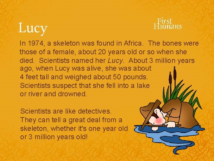 Lucy In 1974, a skeleton was found in Africa. The bones were those of