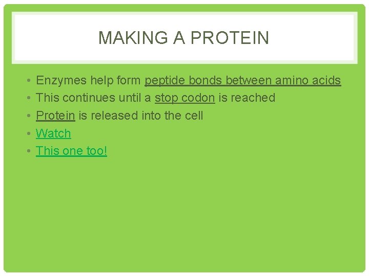 MAKING A PROTEIN • • • Enzymes help form peptide bonds between amino acids