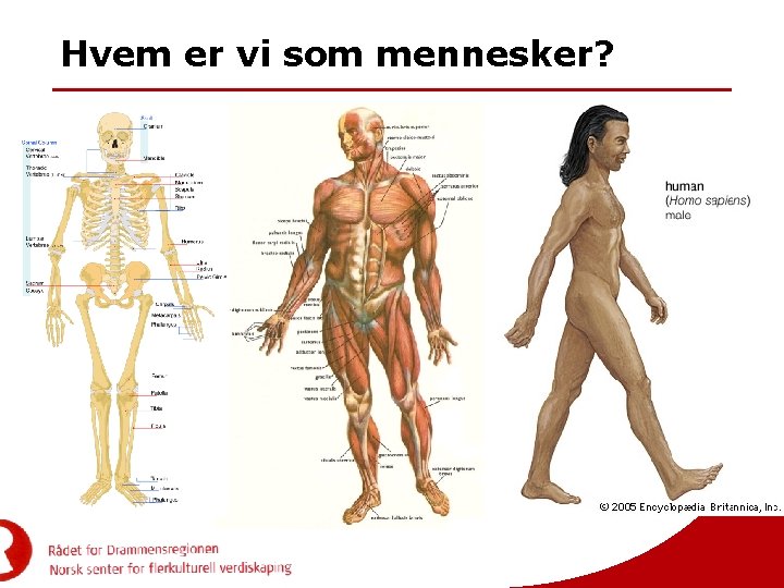 Hvem er vi som mennesker? 