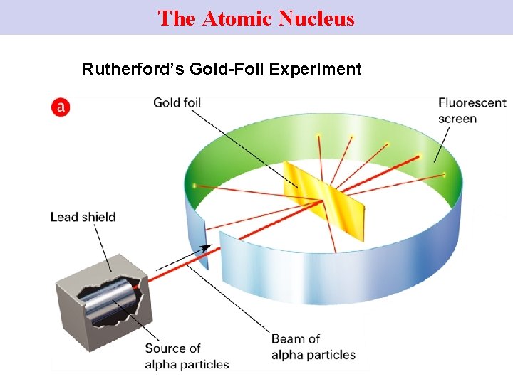 The Atomic Nucleus Rutherford’s Gold-Foil Experiment 