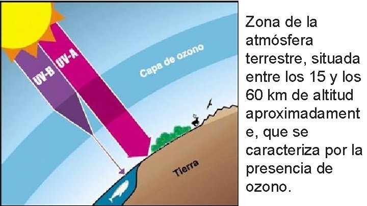 Zona de la atmósfera terrestre, situada entre los 15 y los 60 km de