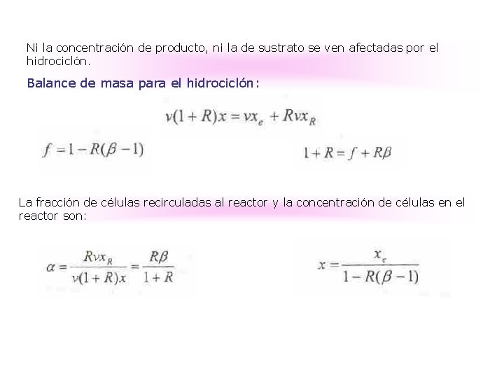 Ni la concentración de producto, ni la de sustrato se ven afectadas por el