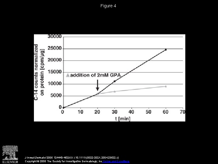 Figure 4 J Invest Dermatol 2005 124443 -452 DOI: (10. 1111/j. 0022 -202 X.