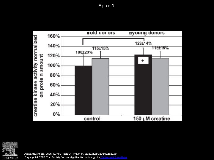 Figure 5 J Invest Dermatol 2005 124443 -452 DOI: (10. 1111/j. 0022 -202 X.