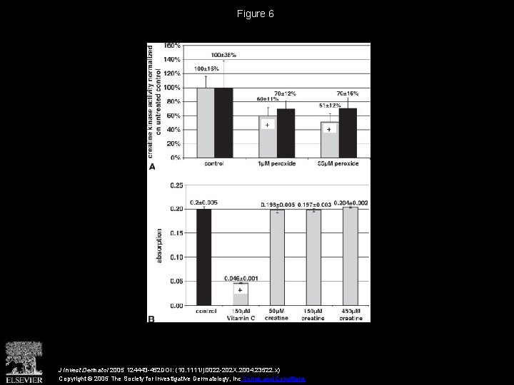 Figure 6 J Invest Dermatol 2005 124443 -452 DOI: (10. 1111/j. 0022 -202 X.