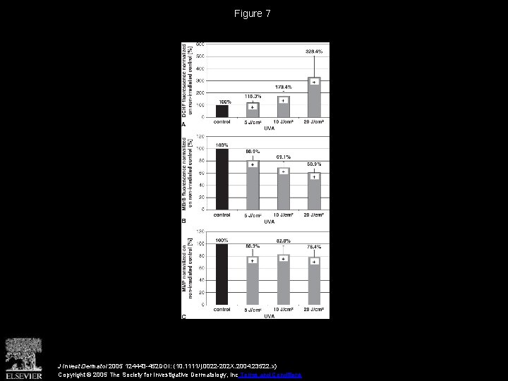 Figure 7 J Invest Dermatol 2005 124443 -452 DOI: (10. 1111/j. 0022 -202 X.