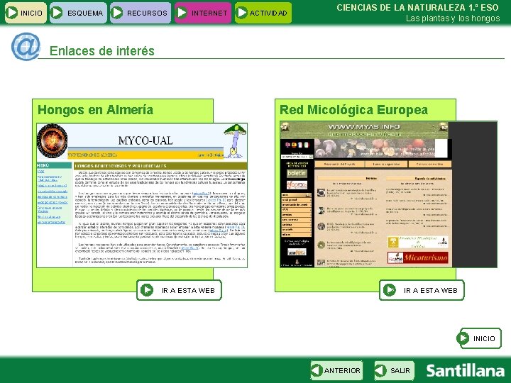 INICIO ESQUEMA RECURSOS INTERNET ACTIVIDAD CIENCIAS DE LA NATURALEZA 1. º ESO Las plantas