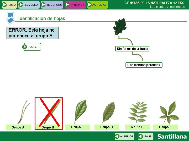 INICIO ESQUEMA RECURSOS INTERNET ACTIVIDAD CIENCIAS DE LA NATURALEZA 1. º ESO Las plantas