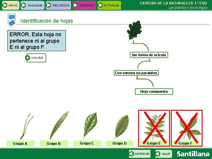 INICIO ESQUEMA RECURSOS INTERNET ACTIVIDAD CIENCIAS DE LA NATURALEZA 1. º ESO Las plantas