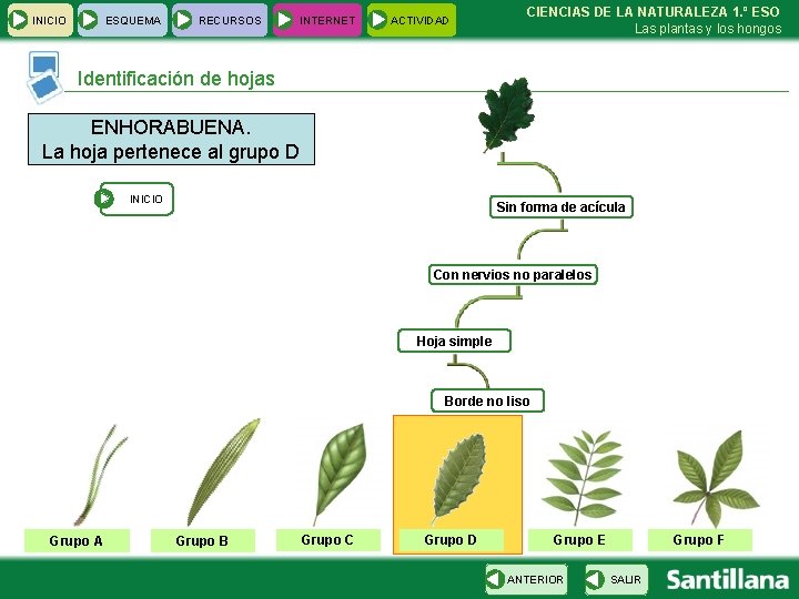 INICIO ESQUEMA RECURSOS INTERNET ACTIVIDAD CIENCIAS DE LA NATURALEZA 1. º ESO Las plantas