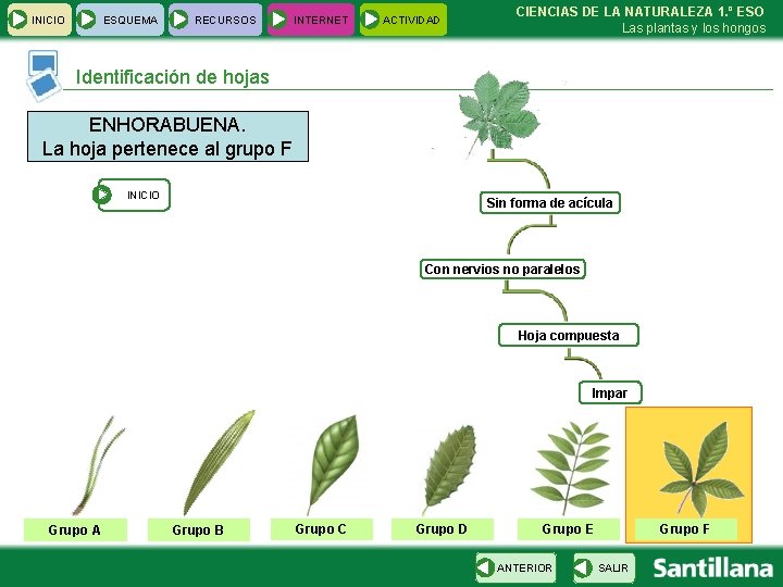 INICIO ESQUEMA RECURSOS INTERNET ACTIVIDAD CIENCIAS DE LA NATURALEZA 1. º ESO Las plantas