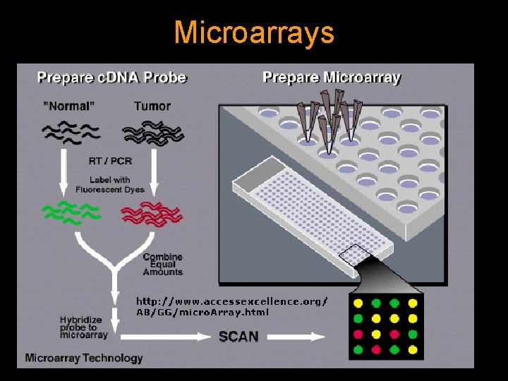 Microarrays 