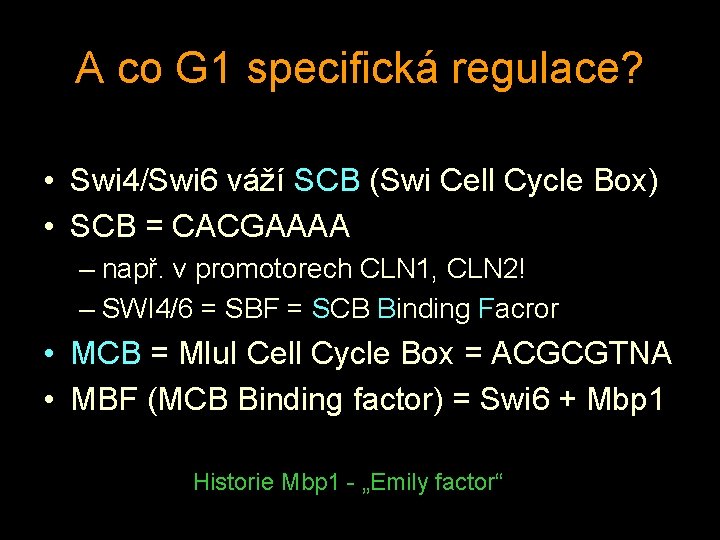 A co G 1 specifická regulace? • Swi 4/Swi 6 váží SCB (Swi Cell