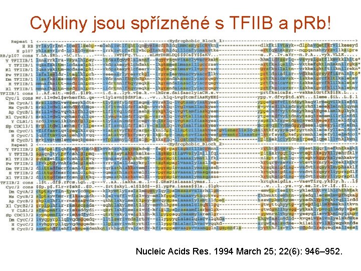 Cykliny jsou spřízněné s TFIIB a p. Rb! Nucleic Acids Res. 1994 March 25;