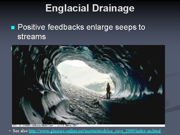 Englacial Drainage Positive feedbacks enlarge seeps to streams n Negative feedbacks close them n