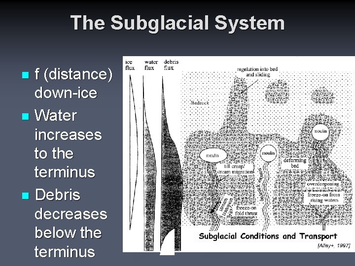 The Subglacial System f (distance) down-ice n Water increases to the terminus n Debris