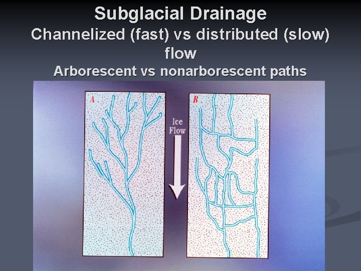 Subglacial Drainage Channelized (fast) vs distributed (slow) flow Arborescent vs nonarborescent paths 