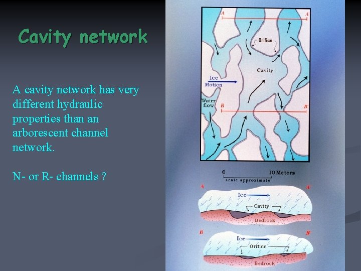 Cavity network A cavity network has very different hydraulic properties than an arborescent channel