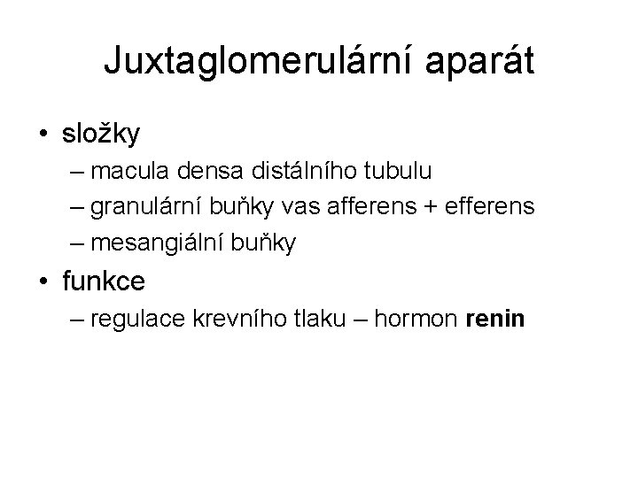 Juxtaglomerulární aparát • složky – macula densa distálního tubulu – granulární buňky vas afferens