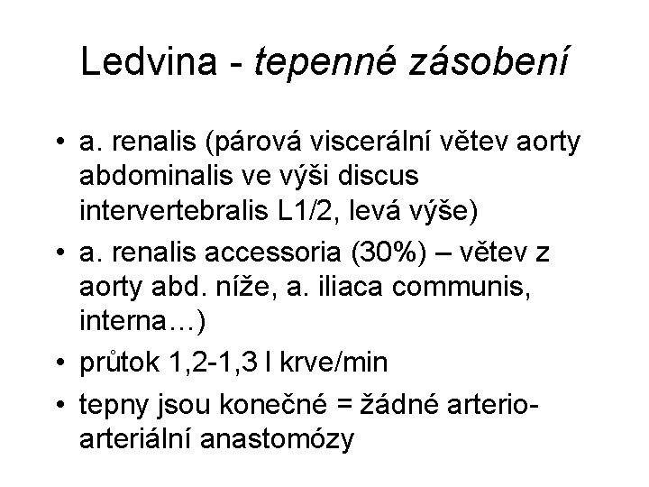 Ledvina - tepenné zásobení • a. renalis (párová viscerální větev aorty abdominalis ve výši