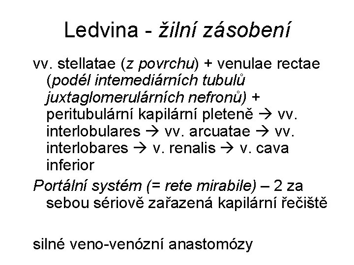 Ledvina - žilní zásobení vv. stellatae (z povrchu) + venulae rectae (podél intemediárních tubulů