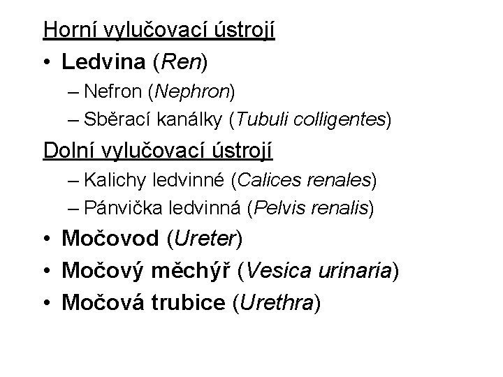 Horní vylučovací ústrojí • Ledvina (Ren) – Nefron (Nephron) – Sběrací kanálky (Tubuli colligentes)