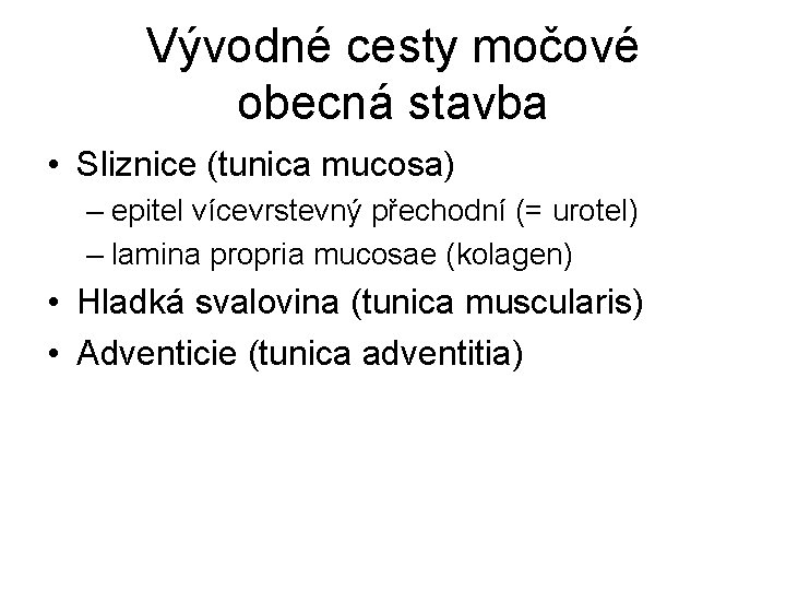 Vývodné cesty močové obecná stavba • Sliznice (tunica mucosa) – epitel vícevrstevný přechodní (=