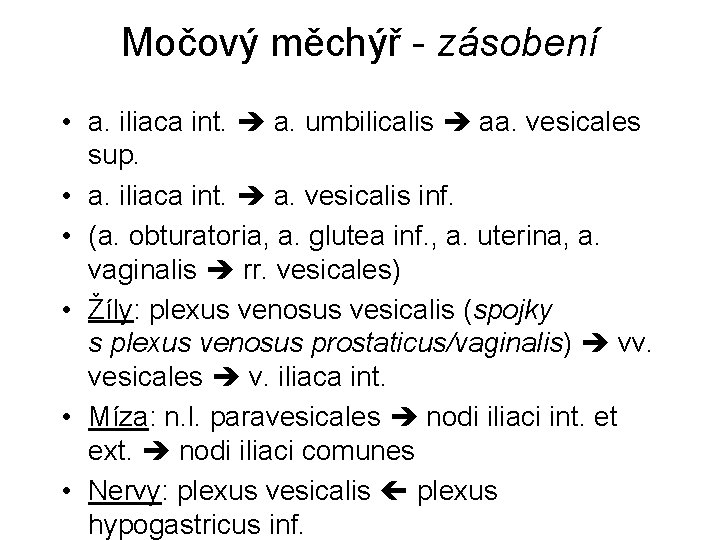 Močový měchýř - zásobení • a. iliaca int. a. umbilicalis aa. vesicales sup. •