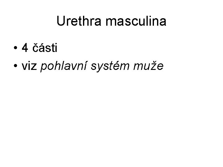 Urethra masculina • 4 části • viz pohlavní systém muže 