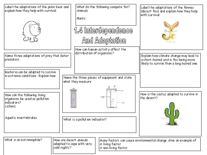 Label the adaptations of the polar bear and explain how they help with survival: