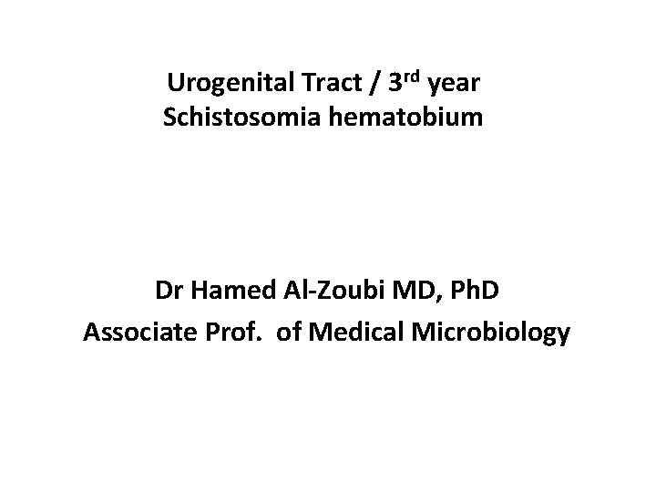 Urogenital Tract / 3 rd year Schistosomia hematobium Dr Hamed Al-Zoubi MD, Ph. D
