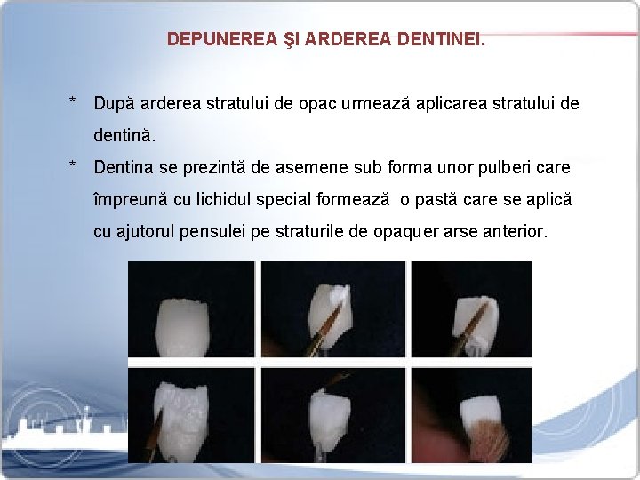 DEPUNEREA ŞI ARDEREA DENTINEI. * După arderea stratului de opac urmează aplicarea stratului de