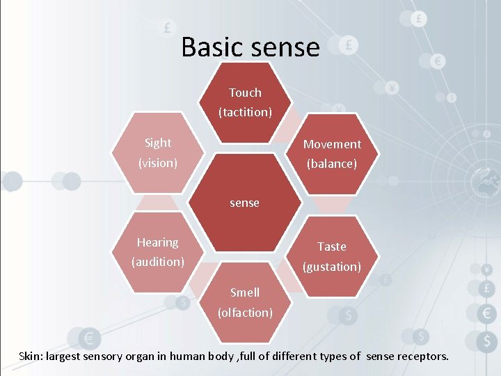 Basic sense Touch (tactition) Sight Movement (vision) (balance) sense Hearing Taste (audition) (gustation) Smell