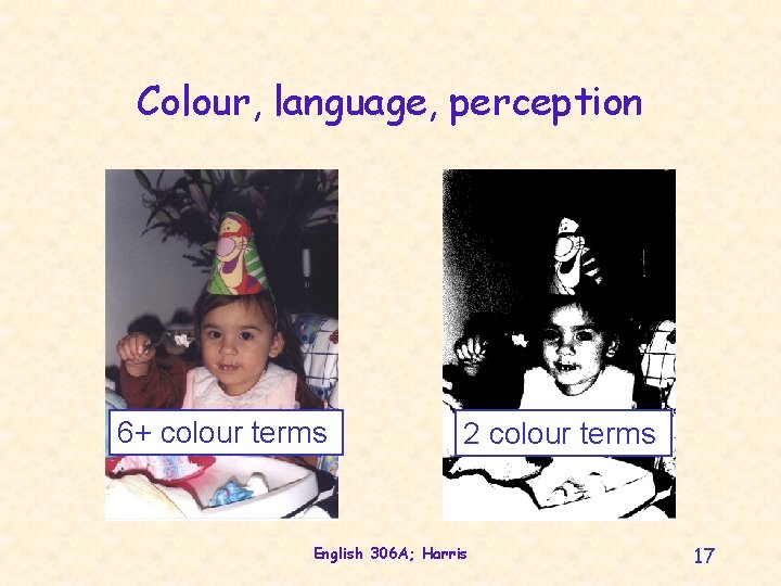 Colour, language, perception 6+ colour terms 2 colour terms English 306 A; Harris 17