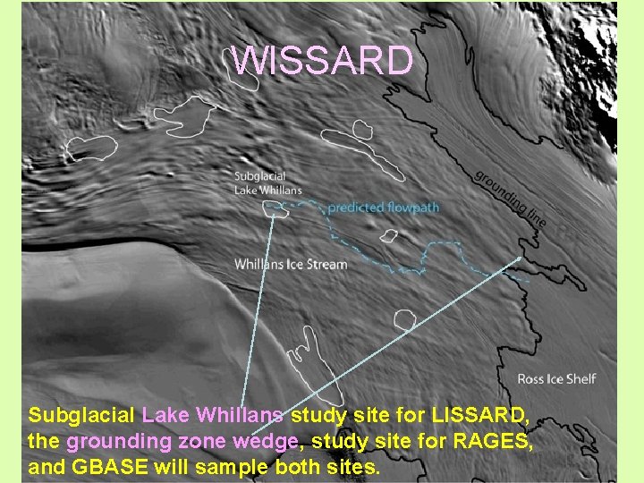 WISSARD Subglacial Lake Whillans study site for LISSARD, the grounding zone wedge, study site