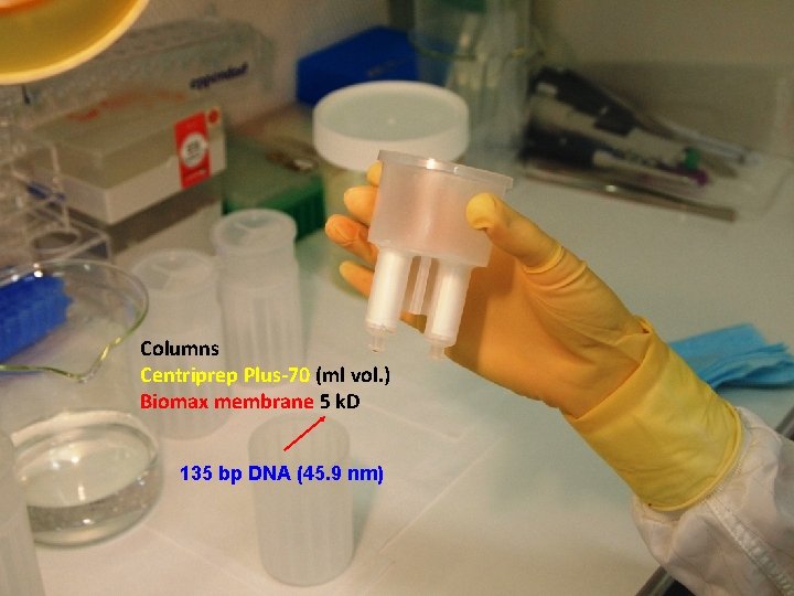 Columns Centriprep Plus-70 (ml vol. ) Biomax membrane 5 k. D 135 bp DNA