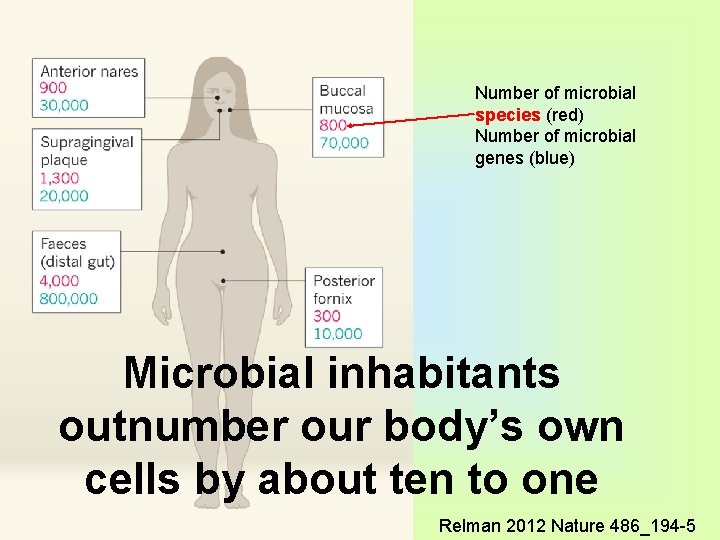 Number of microbial species (red) Number of microbial genes (blue) Microbial inhabitants outnumber our
