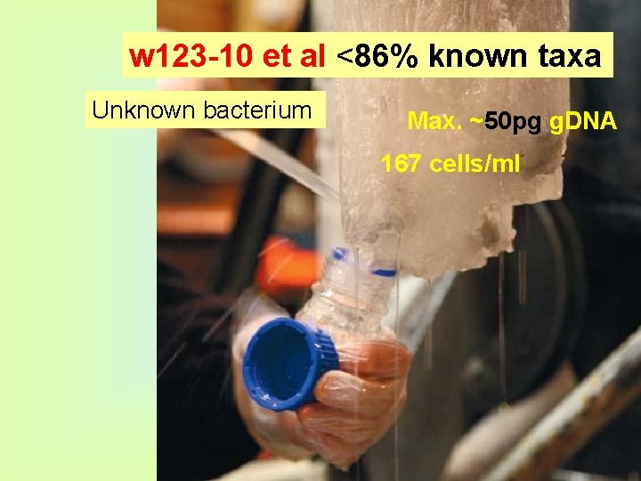 w 123 -10 et al <86% known taxa Unknown bacterium Max. ~50 pg g.