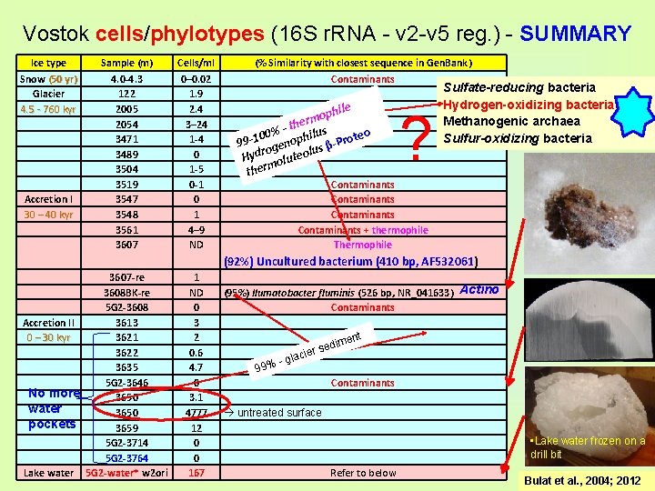 Vostok cells/phylotypes (16 S r. RNA - v 2 -v 5 reg. ) -